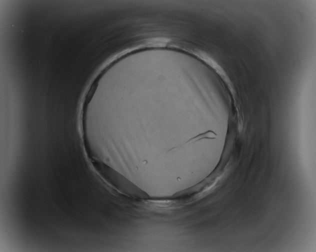 X0000087521342200705251632