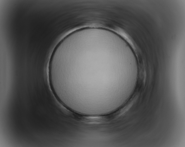 X0000087521343200705251632