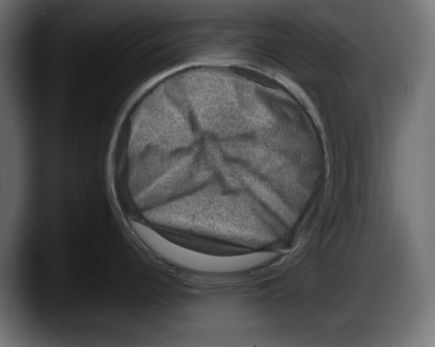 X0000087521344200705251632