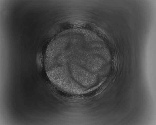 X0000087521346200705251631