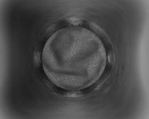 X0000087521347200705251631