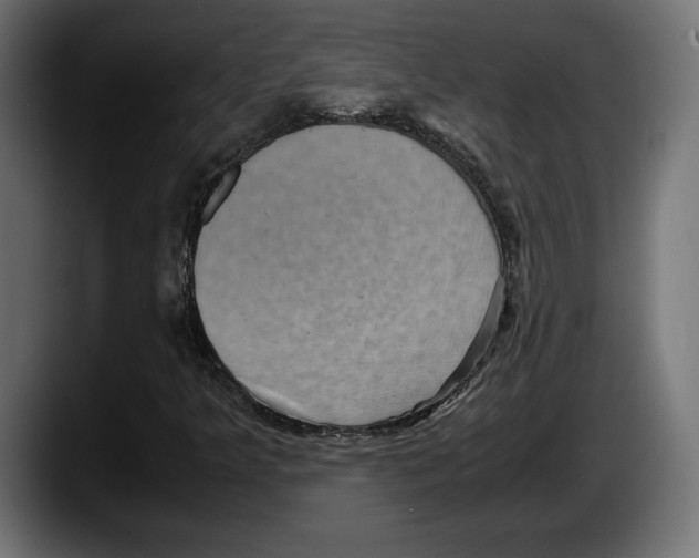 X0000087521349200705251631