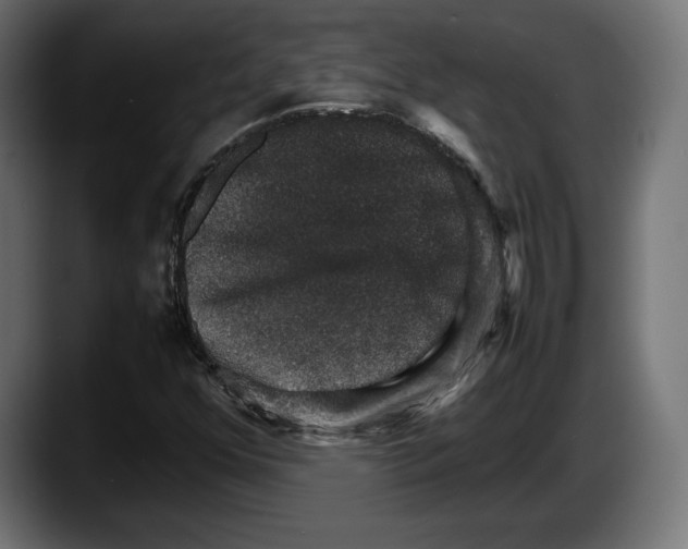 X0000087521352200705251631