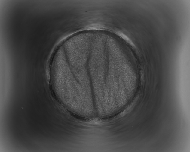 X0000087521358200705251631