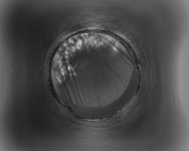 X0000087521359200705251631