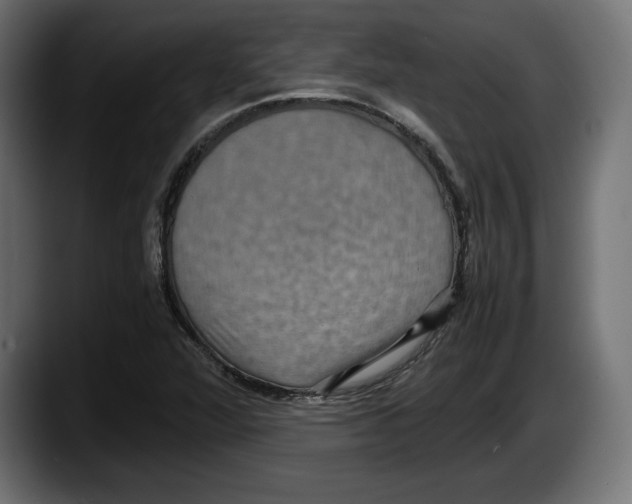 X0000087521360200705251631