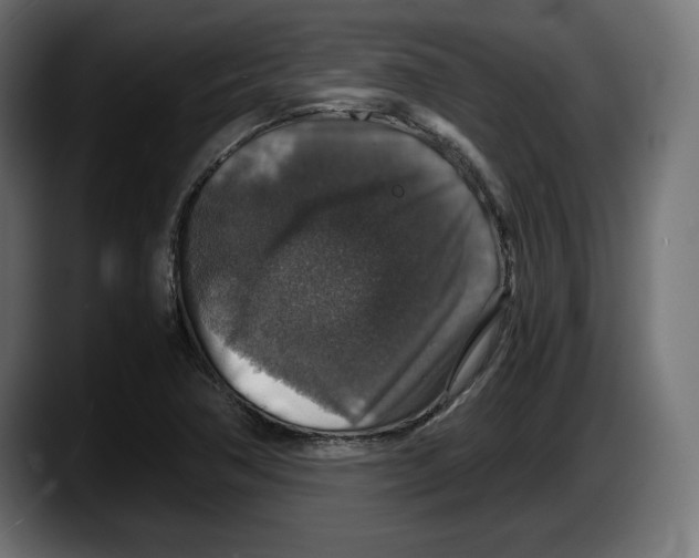 X0000087521362200705251631