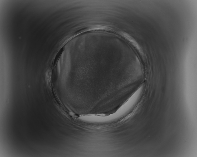 X0000087521369200705251631