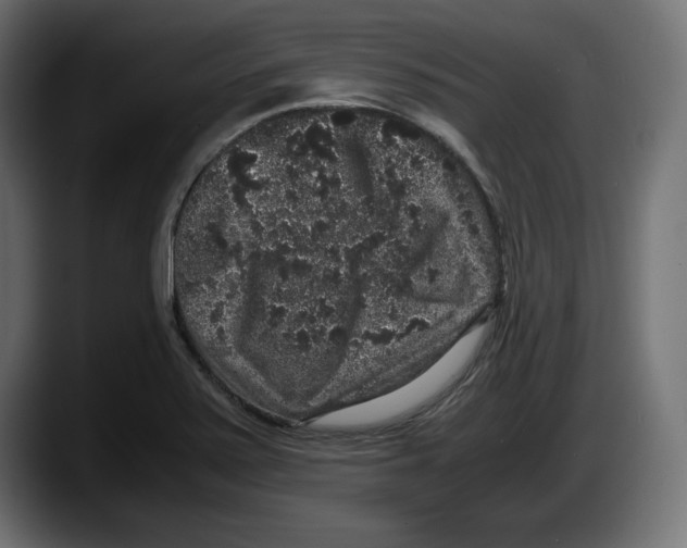 X0000087521371200705251631