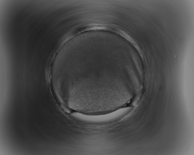 X0000087521377200705251631