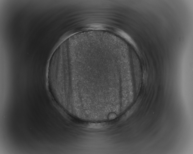 X0000087521378200705251631