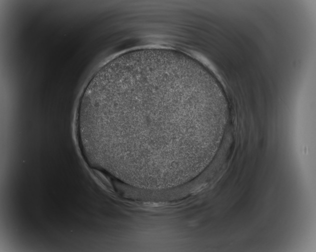 X0000087521379200705251631