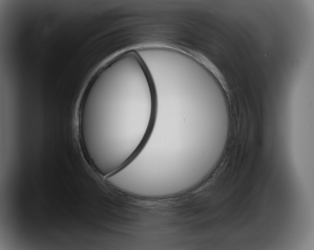 X0000087521380200705251630