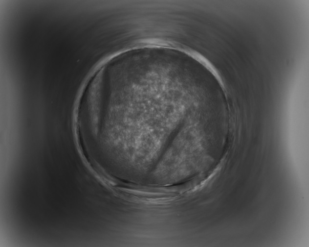 X0000087521381200705251630