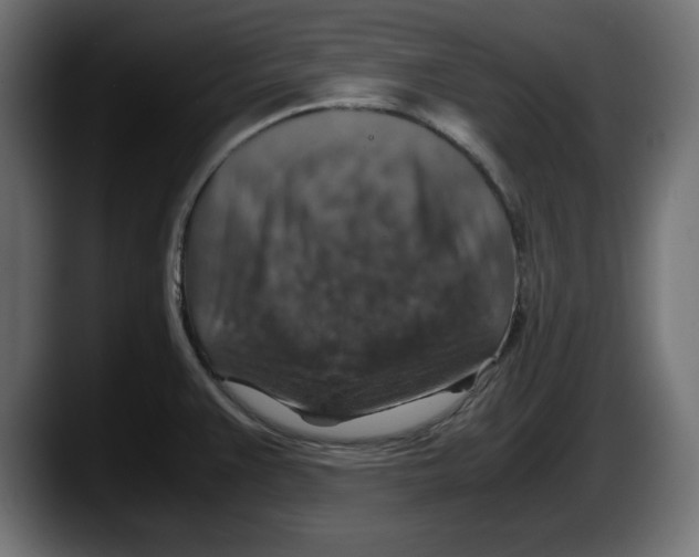 X0000087521383200705251630