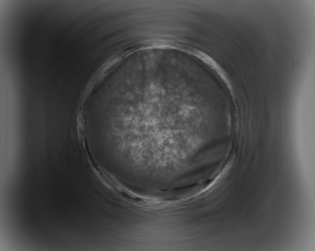 X0000087521385200705251630