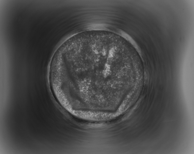 X0000087521386200705251630