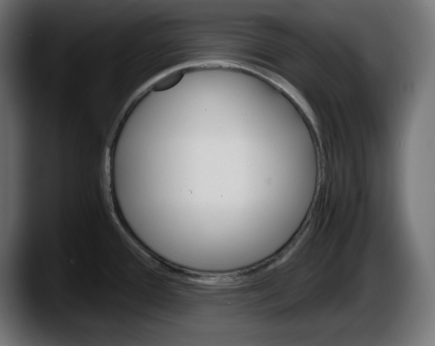 X0000087521388200705251630