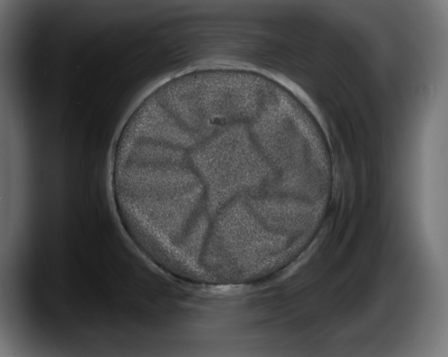 X0000087521390200705251630