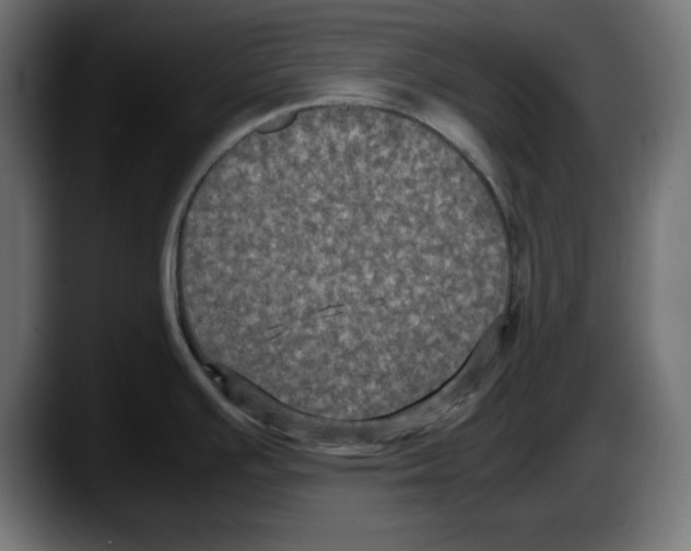 X0000087521391200705251630