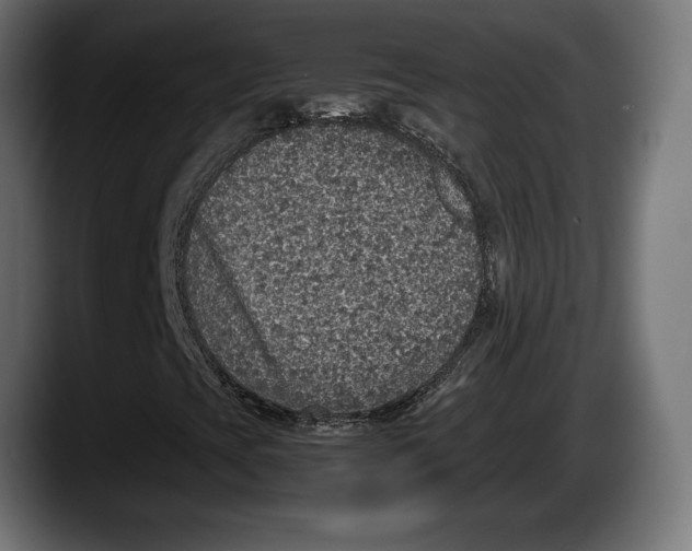 X0000087521393200705251630