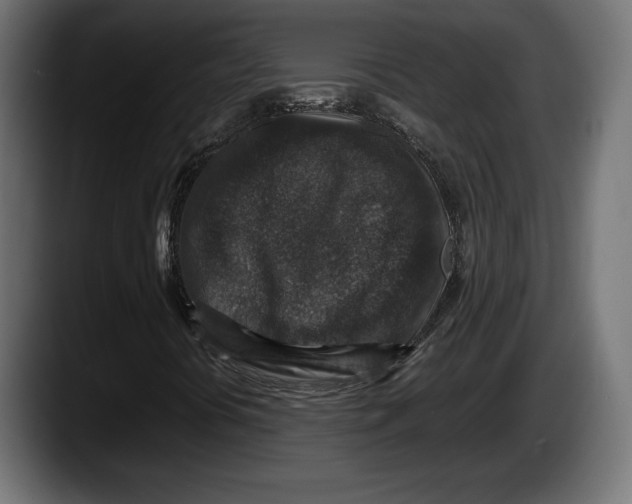 X0000087521394200705251630