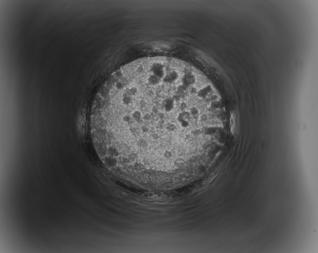 X0000087521395200705251630