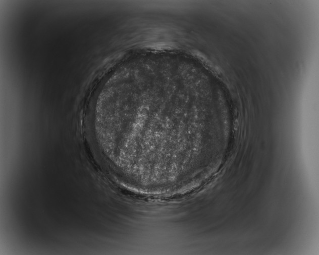 X0000087521398200705251630