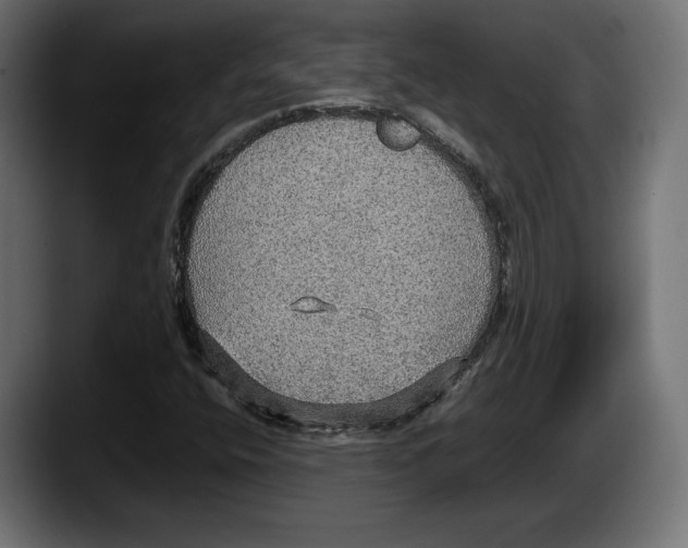 X0000087521400200705251630