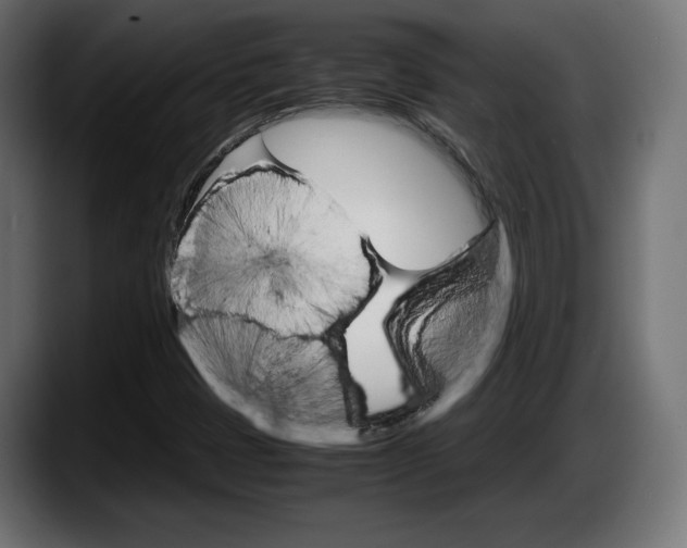 X0000087521401200705251630