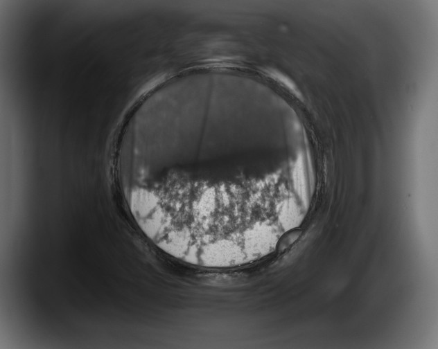 X0000087521405200705251630