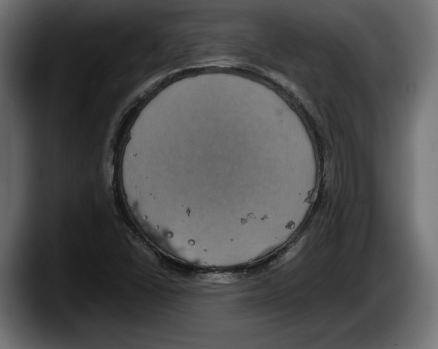 X0000087521406200705251630