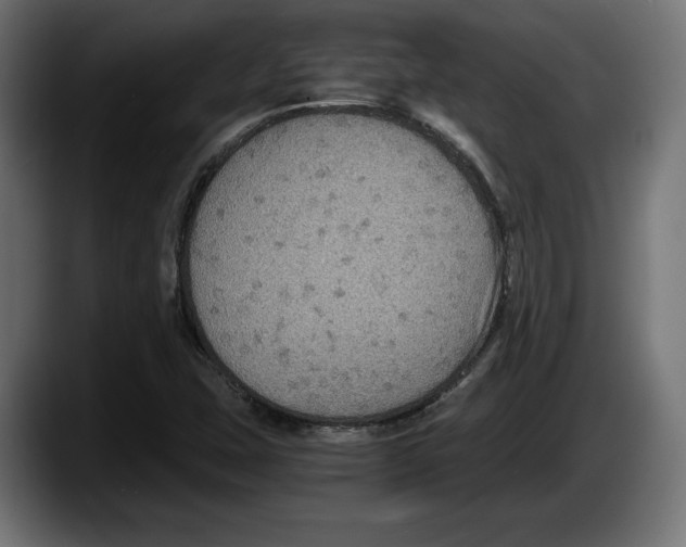 X0000087521407200705251630