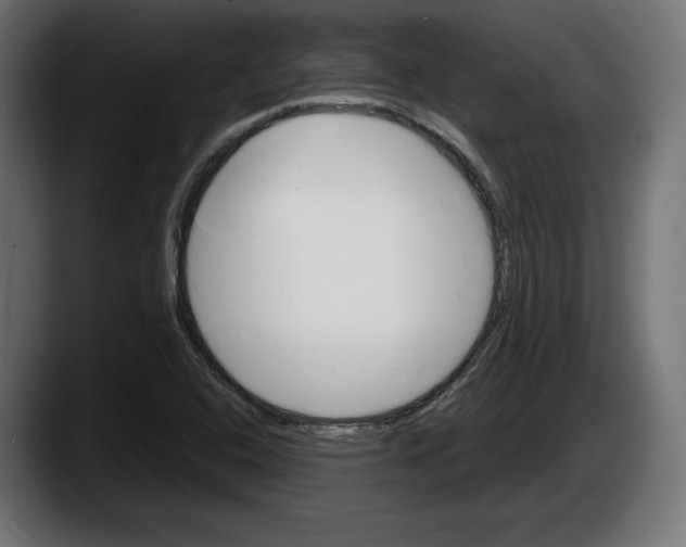 X0000087521408200705251630