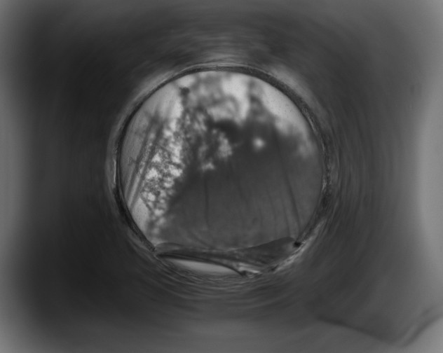 X0000087521413200705251630