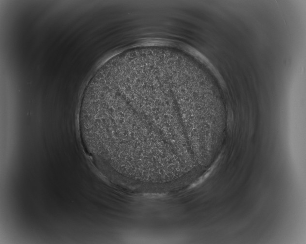 X0000087521417200705251630