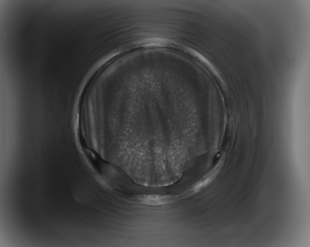 X0000087521418200705251630