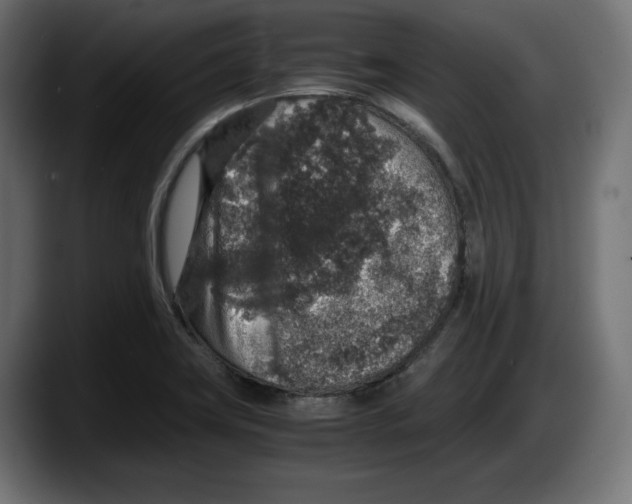 X0000087521419200705251630