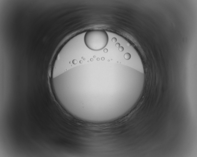 X0000087521420200705251630