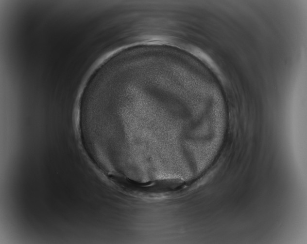 X0000087521424200705251630