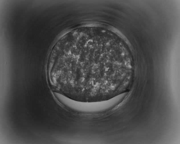 X0000087521425200705251630