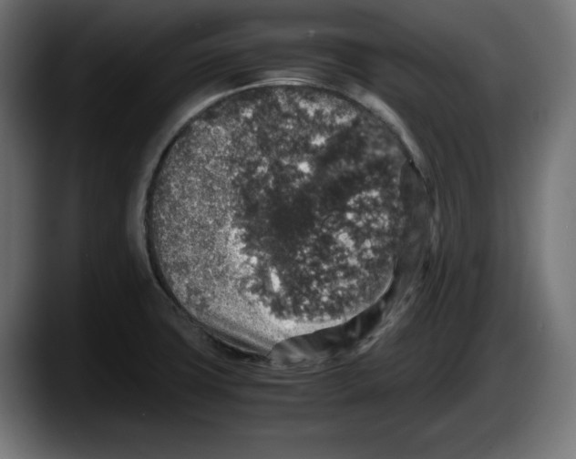 X0000087521427200705251630