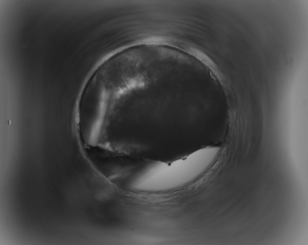 X0000087521428200705251630