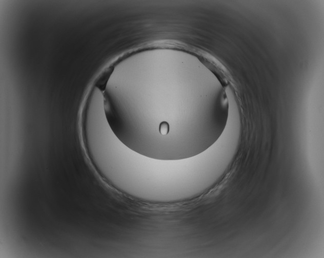 X0000087521430200705251630