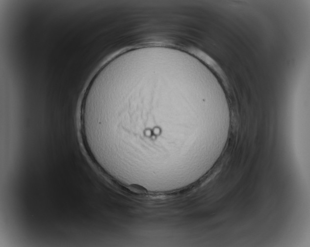 X0000087521431200705251630