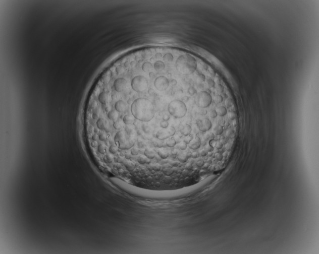 X0000087521432200705251630