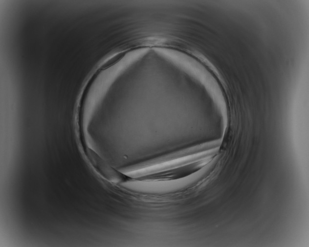 X0000087521434200705251630