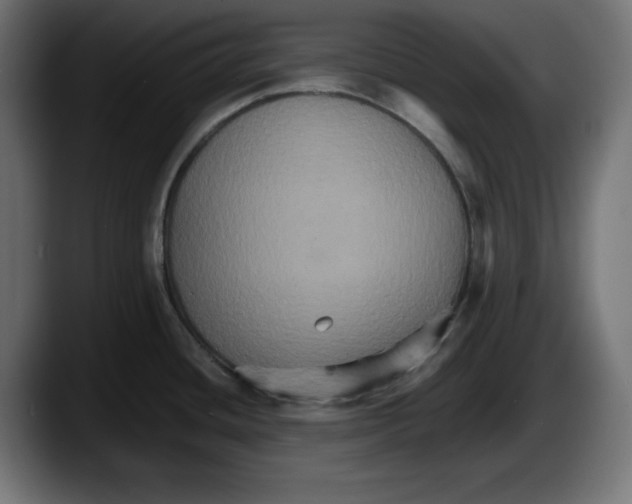 X0000087521436200705251630