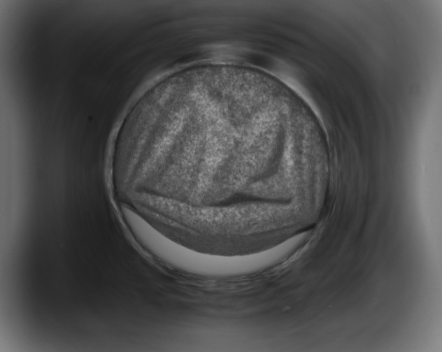 X0000087521437200705251630