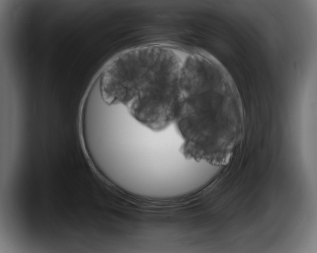 X0000087521439200705251630